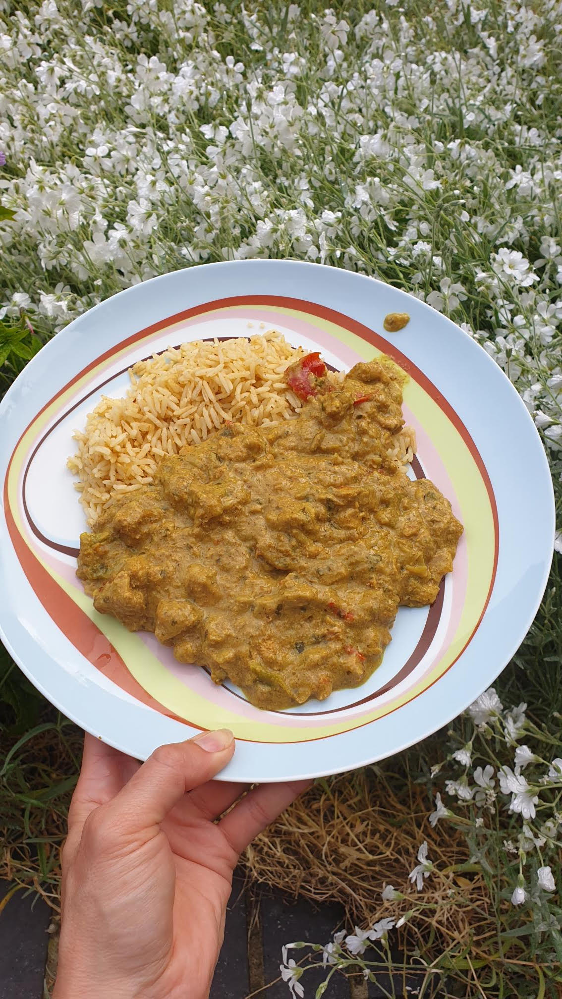 Pheasant Korma