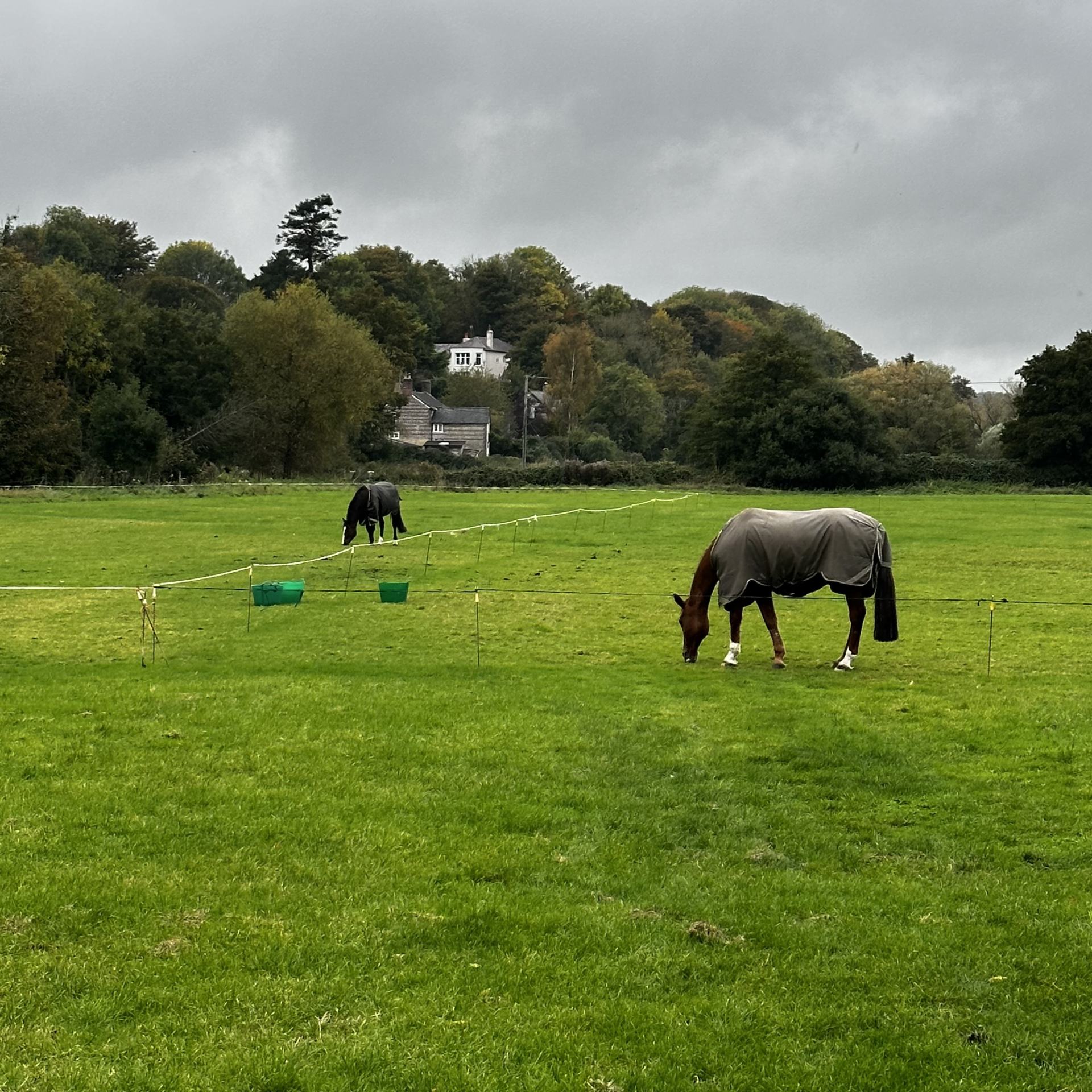 Winter Turnout
