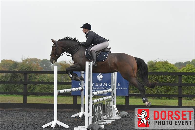 Taking care of the horses during winter: feed & turnout routine